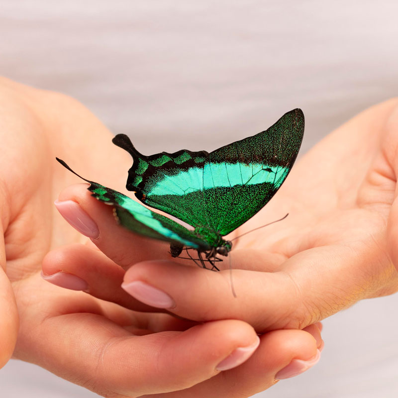 Atención Plena Ètica