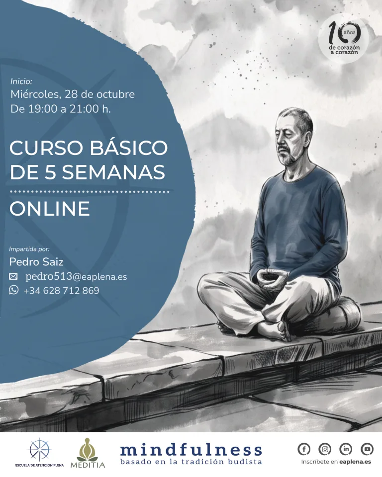 Curso Mindfulness Online - Atención Plena y MBTB